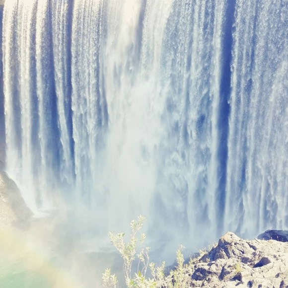 Meet your Posher, Raven - Picture 1 of 1